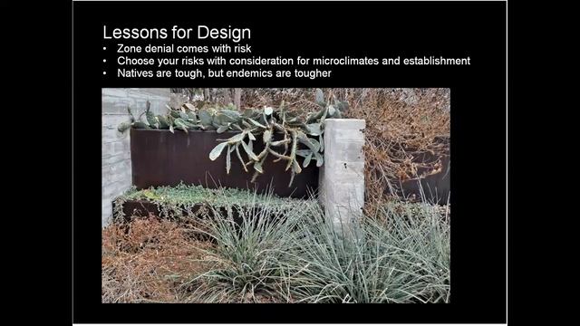 The Deep freeze of 2021 & Damage to Native landscape Plants смотреть онлайн