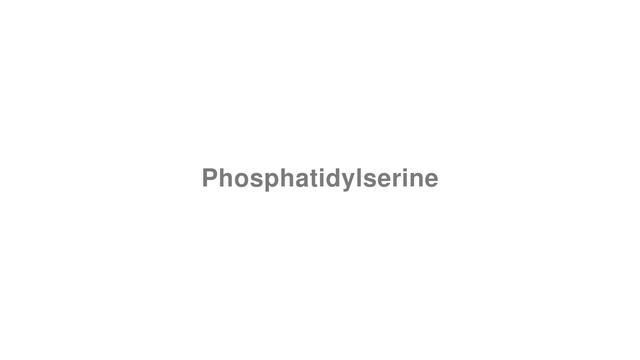 How to Pronounce "Phosphatidylserine" смотреть онлайн