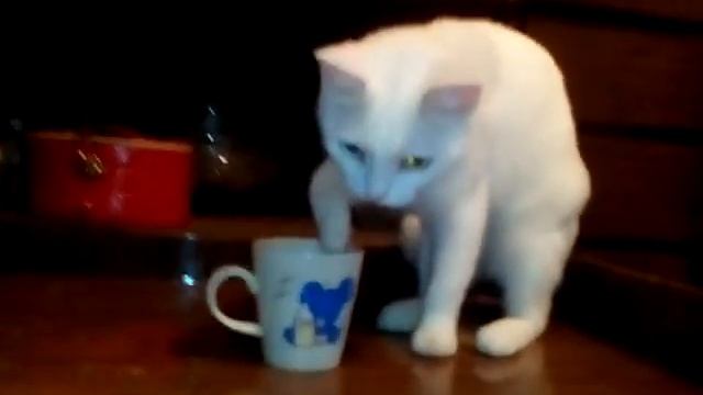 Ириса решила попить воды смотреть онлайн