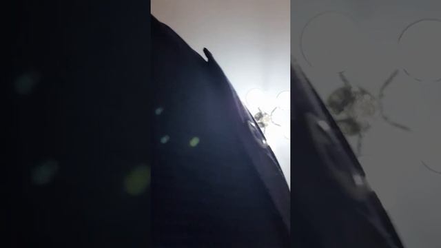 Вода камень точит. смотреть онлайн