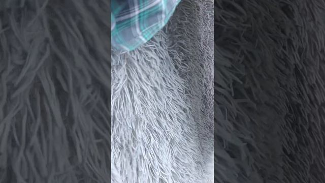 Серёжка с Днём рождения ,Дорогой,Сегодня твой День смотреть онлайн