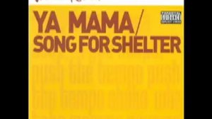 Fatboy Slim - Song For Shelter