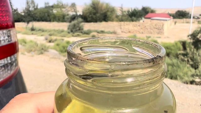 29-08-2023 Bakı Şəki aralığında olan ydm olan oktan fərqlərini sizdə izləyin смотреть онлайн