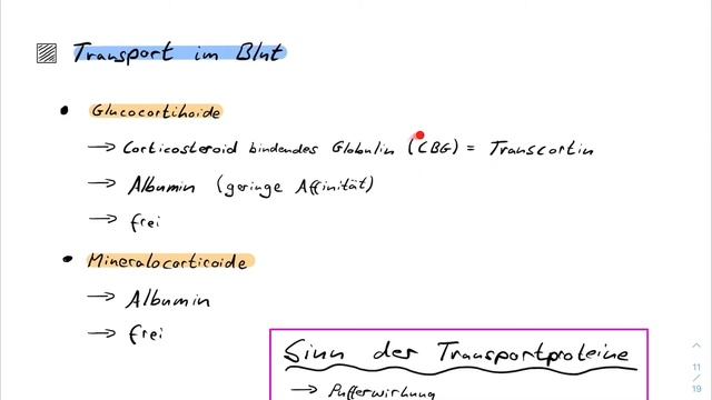 Nebennierenrinde - Glucocorticoide, Mineralocorticoide - Synthese, Regulation, Wirkung | Physiologi смотреть онлайн