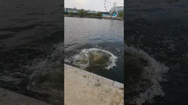 Diving season is open 27 April 2019 - GVS, Moscow-River. смотреть онлайн