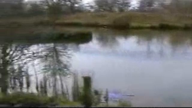 Horseshoe Peg 8 смотреть онлайн