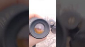 БПЦ-4 8х30 в пасмурную погоду #коллекция#бинокль#оптика#раритет#ссср