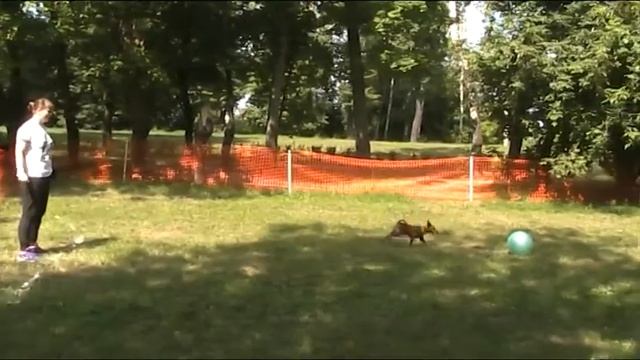 Соревнования по трейбболу 3 июля 2016. Ирина и Бром смотреть онлайн