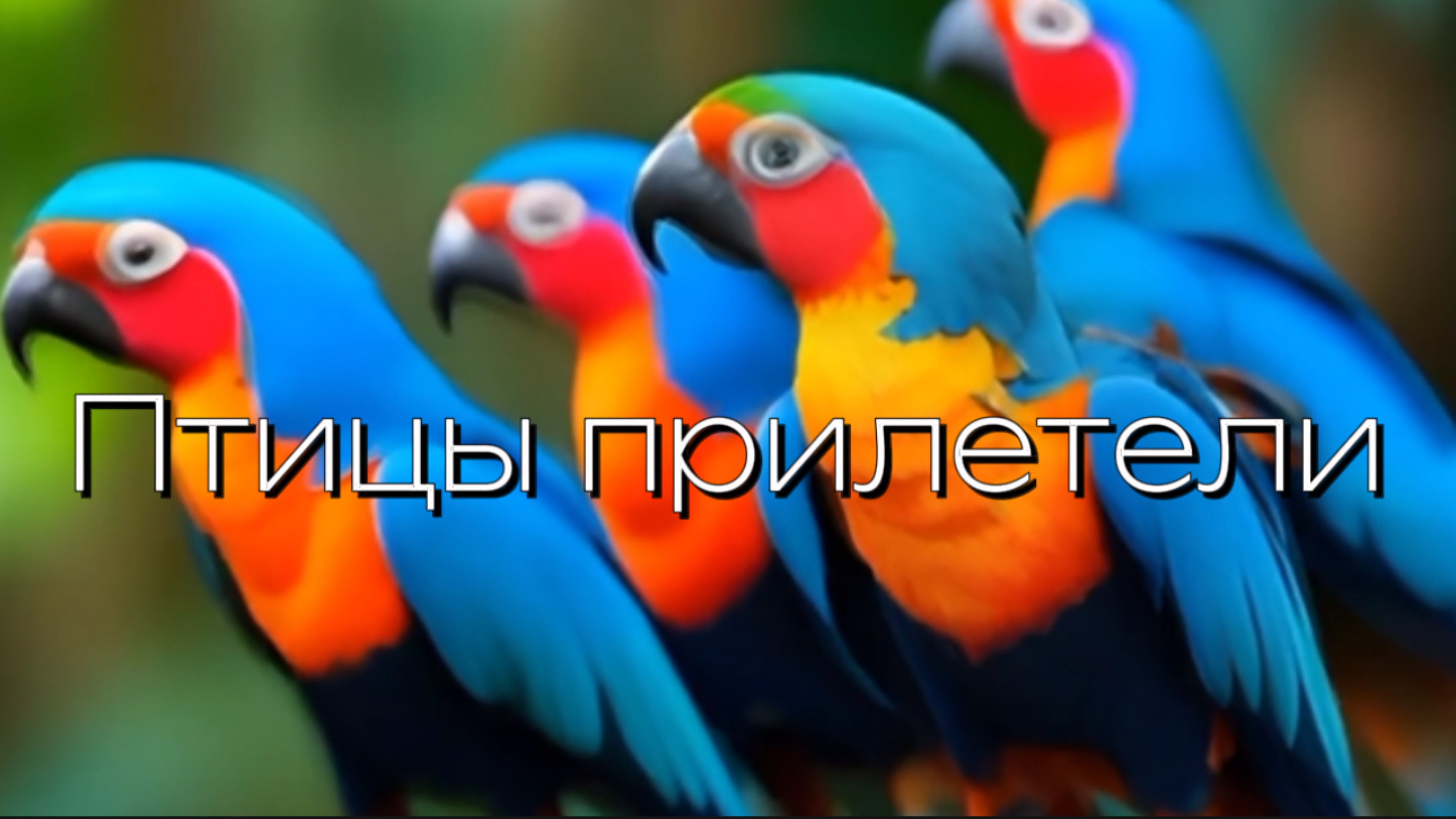 Птицы прилетели! смотреть онлайн
