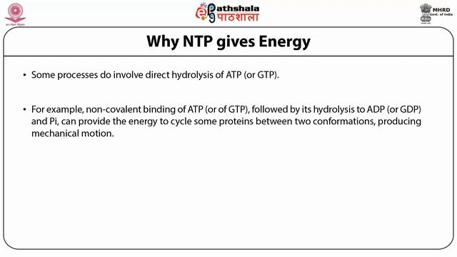 Energy Currency of the Cell смотреть онлайн