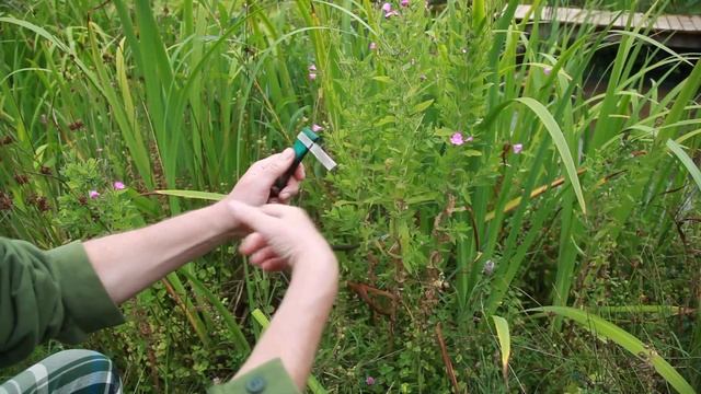 Helpful tips for Organic Pools - Clearing air pipes смотреть онлайн