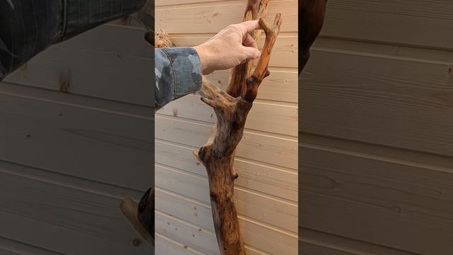 Необычные вешалки в баню смотреть онлайн