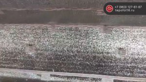 Утеплитель Тепофол