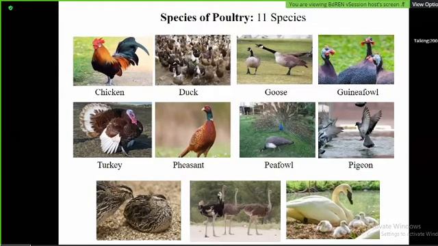 2021 03 16 ASN Sobuj General Term L 1 смотреть онлайн