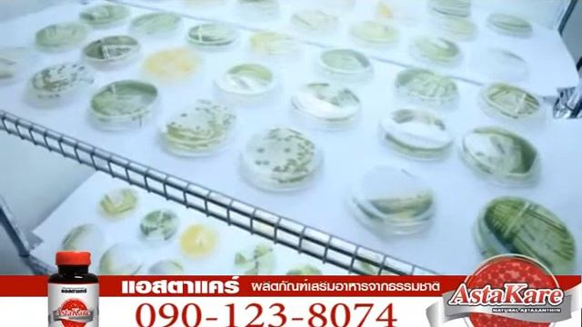 AstaKare (แอสตาแคร์) ดูแลสุขภาพ PV1.1 смотреть онлайн