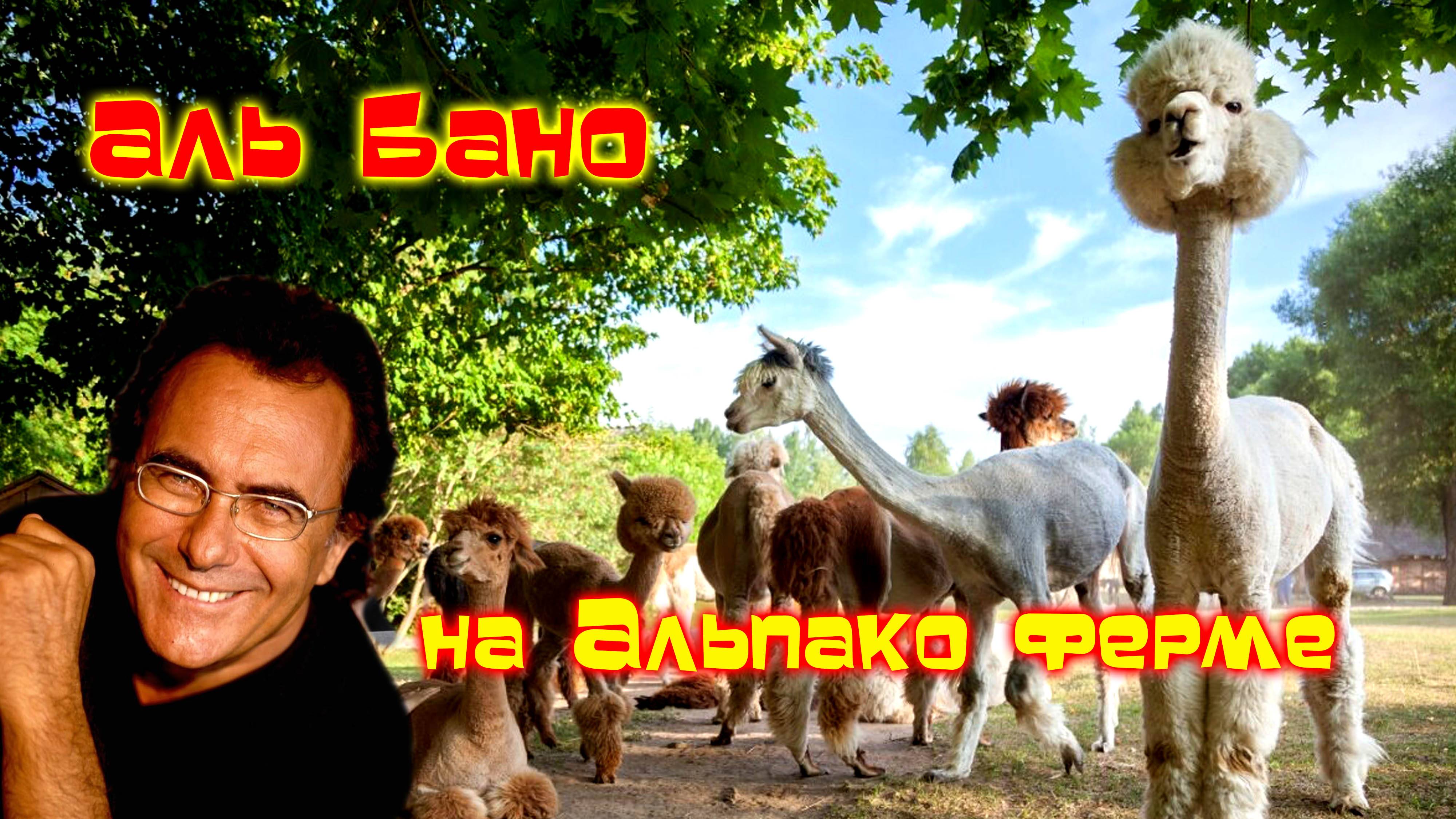 АЛЬПАКО парк/Тайланд/Экскурсия смотреть онлайн