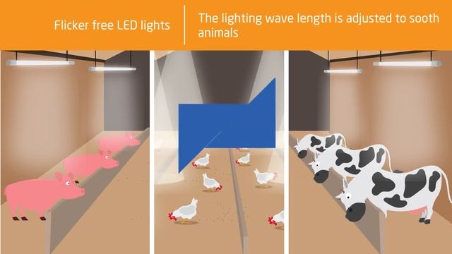 Agriculture LED lighting concept смотреть онлайн