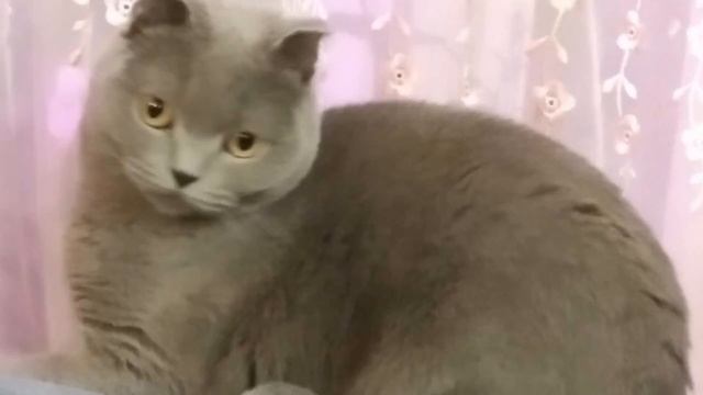 11 декабря 2019 г. смотреть онлайн