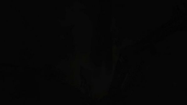 Время первых