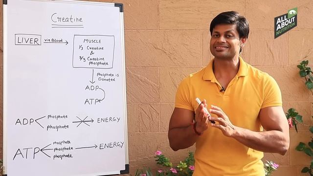 CREATINE SUPPLEMENT FULLY EXPLAINED IN MOST SIMPLE WAY || GOOD OR BAD ? || BUY OR NOT ? смотреть онлайн