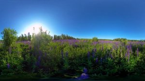 Моя Удмуртия