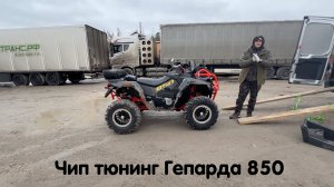 Чип тюнинг Stels Guepard 850 ! Выкладываем результаты тестов, рассказываем о наших прошивках 👍