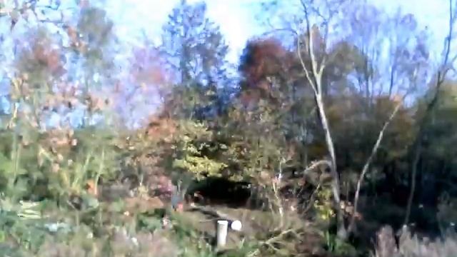 Tree fellas timelapse смотреть онлайн
