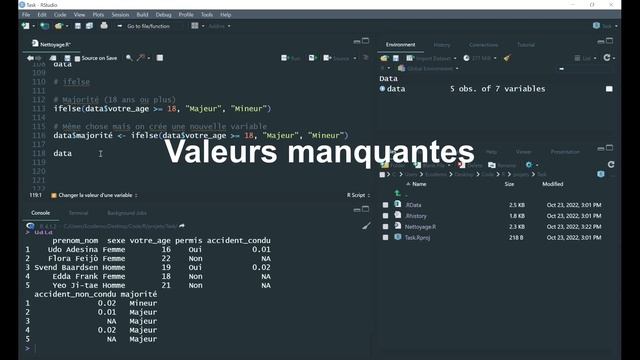 R Statistique - 5. Nettoyer les données avec R смотреть онлайн
