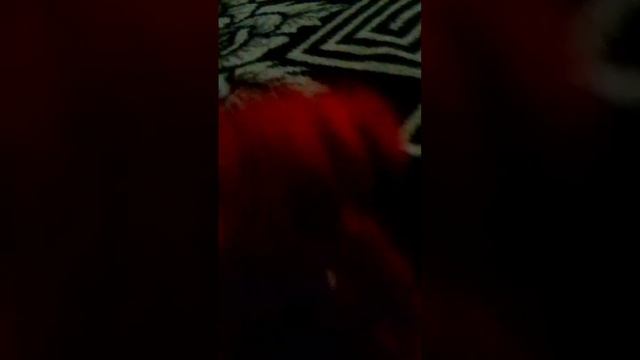 Скари Ларри флексит под аркады неон микс тейп тур пвз 2 смотреть онлайн