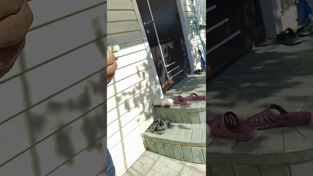 и Сколько идёт сладости попробовал смотреть онлайн