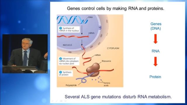2011, Professor Robert Brown Jr, Lessons from ALS/MND Genetics смотреть онлайн