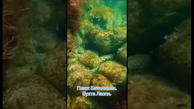 #крым #севастополь #море #красота # плаваем вместе #travel смотреть онлайн