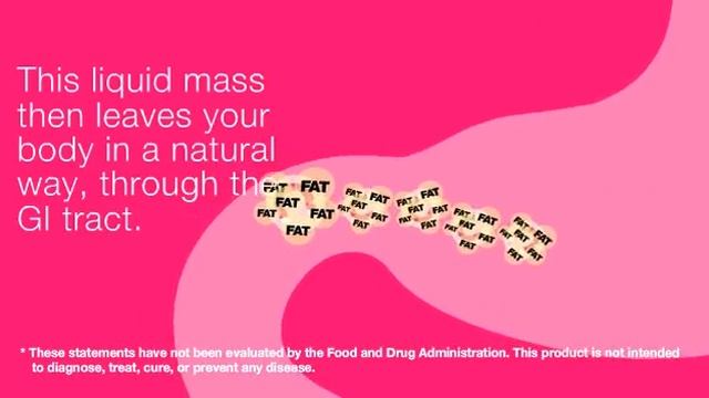 How Lineatabs works to absorb dietary fat... смотреть онлайн