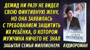 Забытая семья миллионера АУДИОРОМАН Настя Ильина
