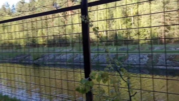 золотая вода на Акуловском канале (2)