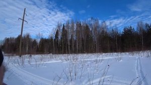 Завершение сезона 2023-24 с трофеем! Охота с эстонской гончей на зайца по глубокому снегу в феврале.