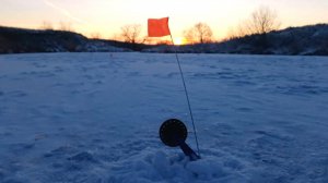 ОСТАВИЛ ЖЕРЛИЦЫ НА НОЧЬ, а утром...