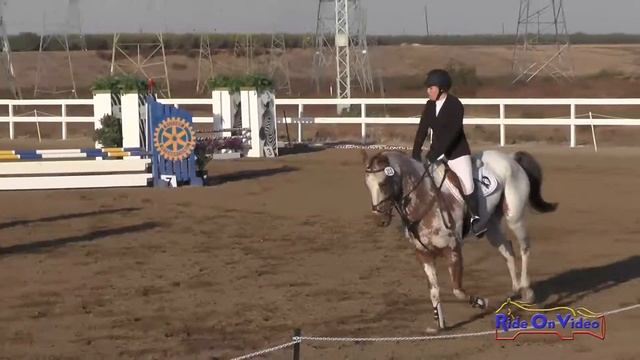 212S Carlie Hall on Clover's Lucky Charm JR Beginner Novice Show Jumping FCHP November 2017 смотреть онлайн