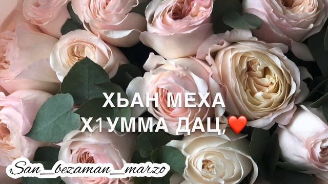 Йишийна лерина дешнаш смотреть онлайн