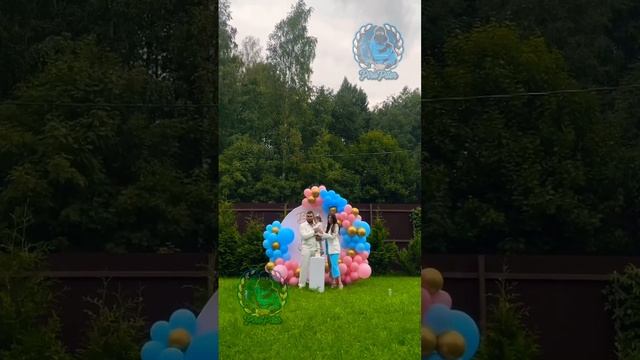Гендер салют / Салют на гендер пати / дневной салют смотреть онлайн