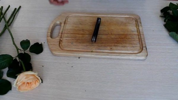 Тест ножа Dagger Urban от компании DaggerrKnives . / Knife test Dagger Urban by DaggerrKnives