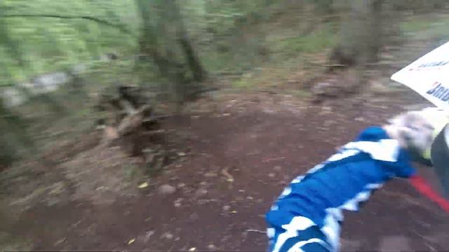 Una banda di trialisti pazzi e ignoranti! 😜 смотреть онлайн