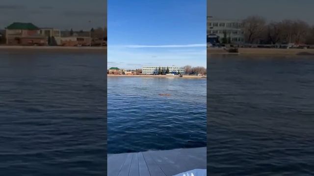 Курган паводок сирены смотреть онлайн