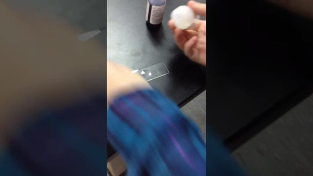 Adding the Sucrose Solution смотреть онлайн