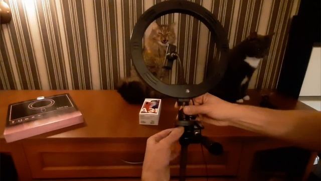 ОБЗОР КОЛЬЦЕВОГО СВЕТИЛЬНИКА - RING FILL LIGHT смотреть онлайн