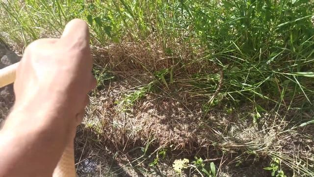 Опять коротыш ))) смотреть онлайн
