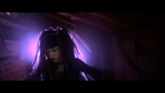 Cyber Goth Style  ~ Kawaï Von Tierisch ~ Industrial Dance