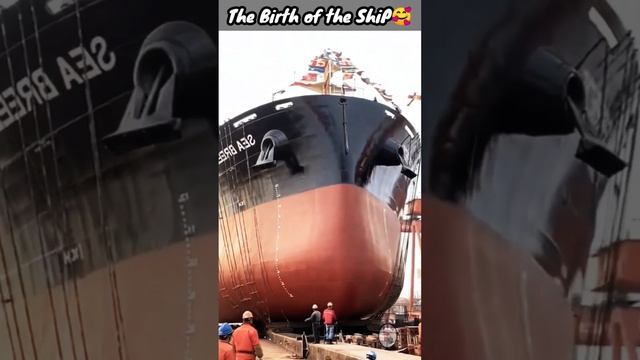 The Birth of the Ship 🚢 Epic Video.🤗 #ships смотреть онлайн