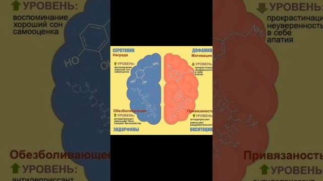 Дофамин и Серотонин смотреть онлайн