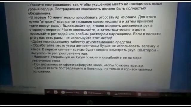 "Встреча со змеей". Рекомендации по безопасности смотреть онлайн
